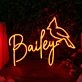 Bailey Orange Neon Sign