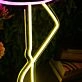 Flamingo Custom Neon Sign