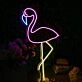 Flamingo Custom Neon Sign