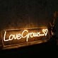 Love Grows Yellow Neon Sign