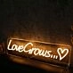Love Grows Yellow Neon Sign