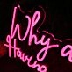 Why Are We Not Having Sex Right Now Red Neon Sign