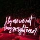 Why Are We Not Having Sex Right Now Red Neon Sign