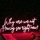 Why Are We Not Having Sex Right Now Red Neon Sign