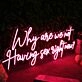 Why Are We Not Having Sex Right Now Red Neon Sign