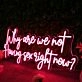 Why Are We Not Having Sex Right Now Red Neon Sign