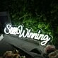 Still Winning White Neon Sign