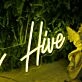 The Honey Hive Yellow Neon Sign