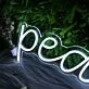 Peaches White Custom Neon Sign