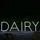 Dairy White Neon Sign