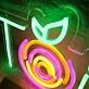 Toit Custom Neon Sign