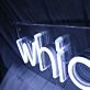 Which He Never White Neon Sign
