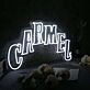 CARMEL White Neon Sign