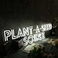 Plant A Seed Soiree White Neon Sign