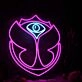 Tomorrowland Custom Neon Sign