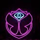 Tomorrowland Custom Neon Sign