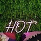 Hot Dark Purple Neon Sign