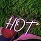 Hot Dark Purple Neon Sign