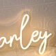 Canley Yellow Neon Sign