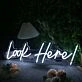 Look Here White Neon Sign