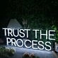 Trust The Process White Neon Sign