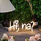 Hi Na Yellow Neon Sign