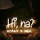 Hi Na Yellow Neon Sign