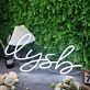 Ilysh White Neon Sign