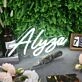 Alysa White Neon Sign