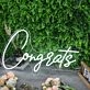 Congrats White Custom LED Neon Sign