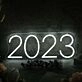 2023 White Neon Sign