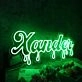 Xander Green Neon Sign