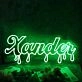Xander Green Neon Sign