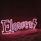 Elowen Pink Name Neon Sign