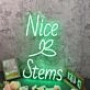 Nice Stems Green Custom Neon Sign