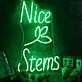 Nice Stems Green Custom Neon Sign