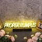 Proper Rumpus Yellow Neon Sign