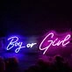 Boy Or Girl Custom Neon Sign