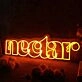 Nectar Orange Neon Sign