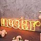Nectar Orange Neon Sign