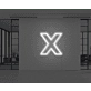 Neon Letter X