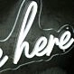 So Happy You Are Here White Neon Sign