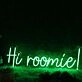 Hi Roomie Green Neon Sign