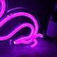Branch Bud Purple Neon Sign