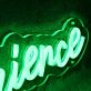 Targan Experience Green Neon Sign