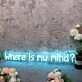Where Is My Mind Blue Neon Sign