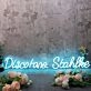 Discoteca Stahlke Blue Neon Sign