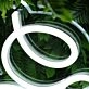 Carbon Women White Neon Sign