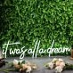 It Was All A Dream White Custom Neon Sign