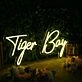 Tiger Bay Yellow Neon Sign